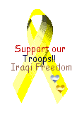 supportourtroops.gif