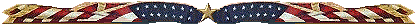 starflagdivider.gif